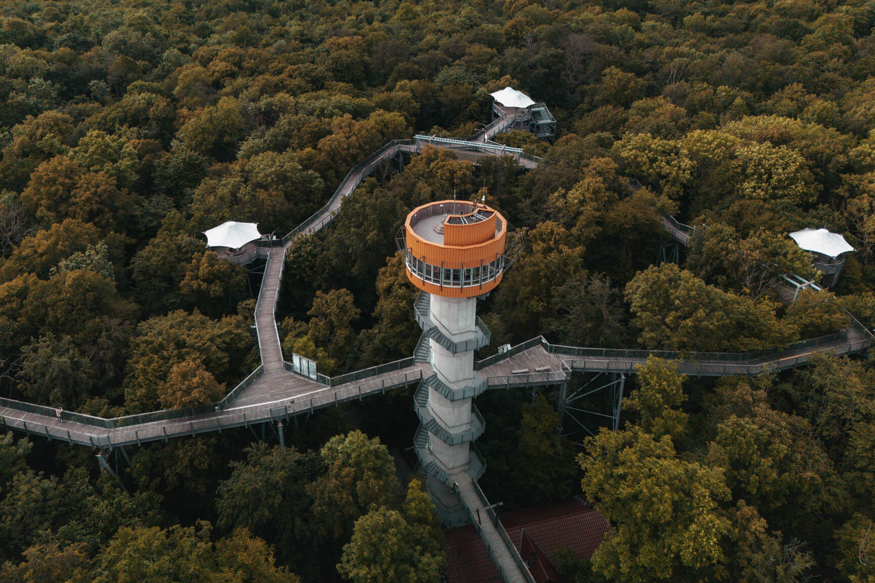 Slow Travel in Thüringen: Baumkronenpfad