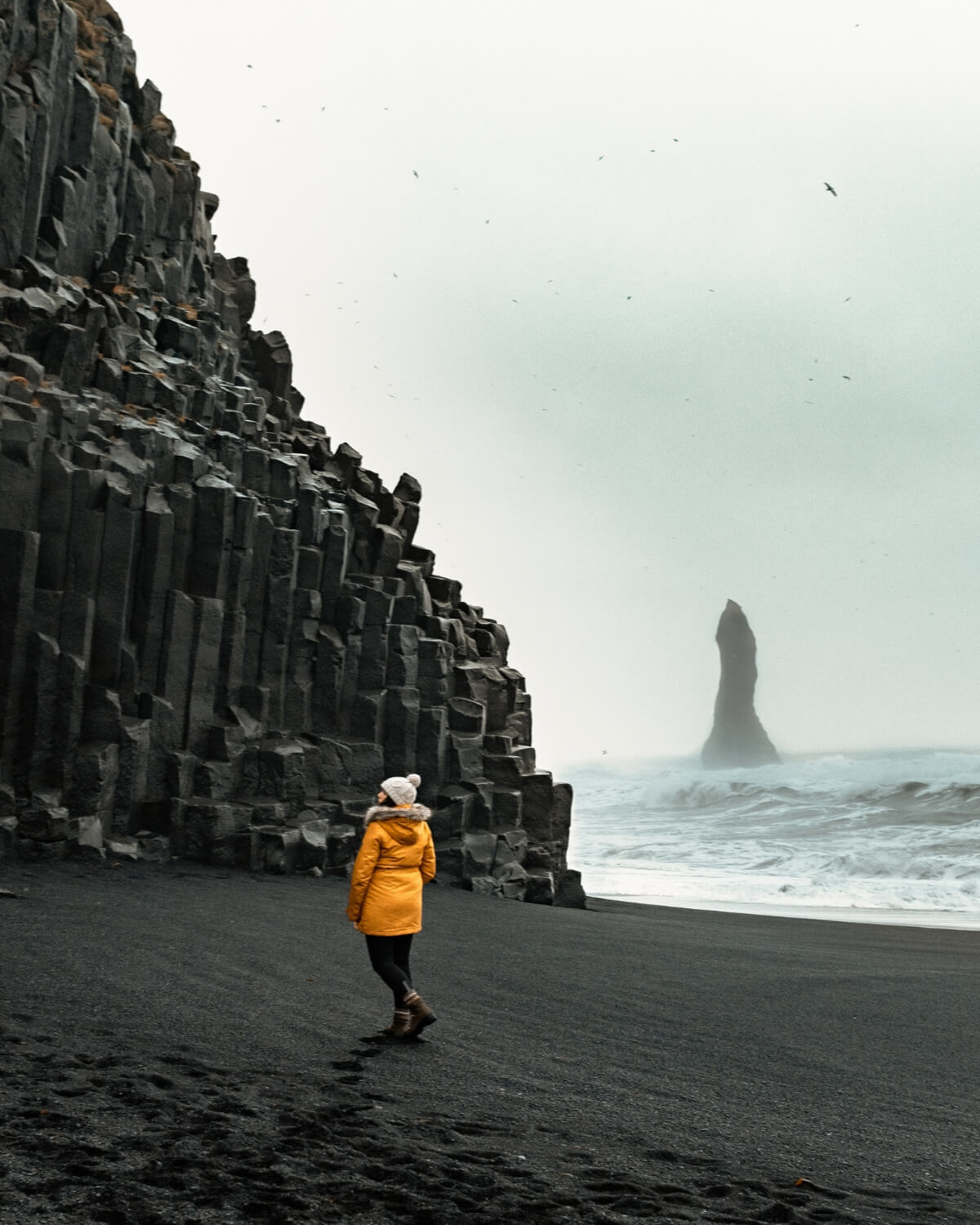 Am Reynisfjara Black Sand Beach