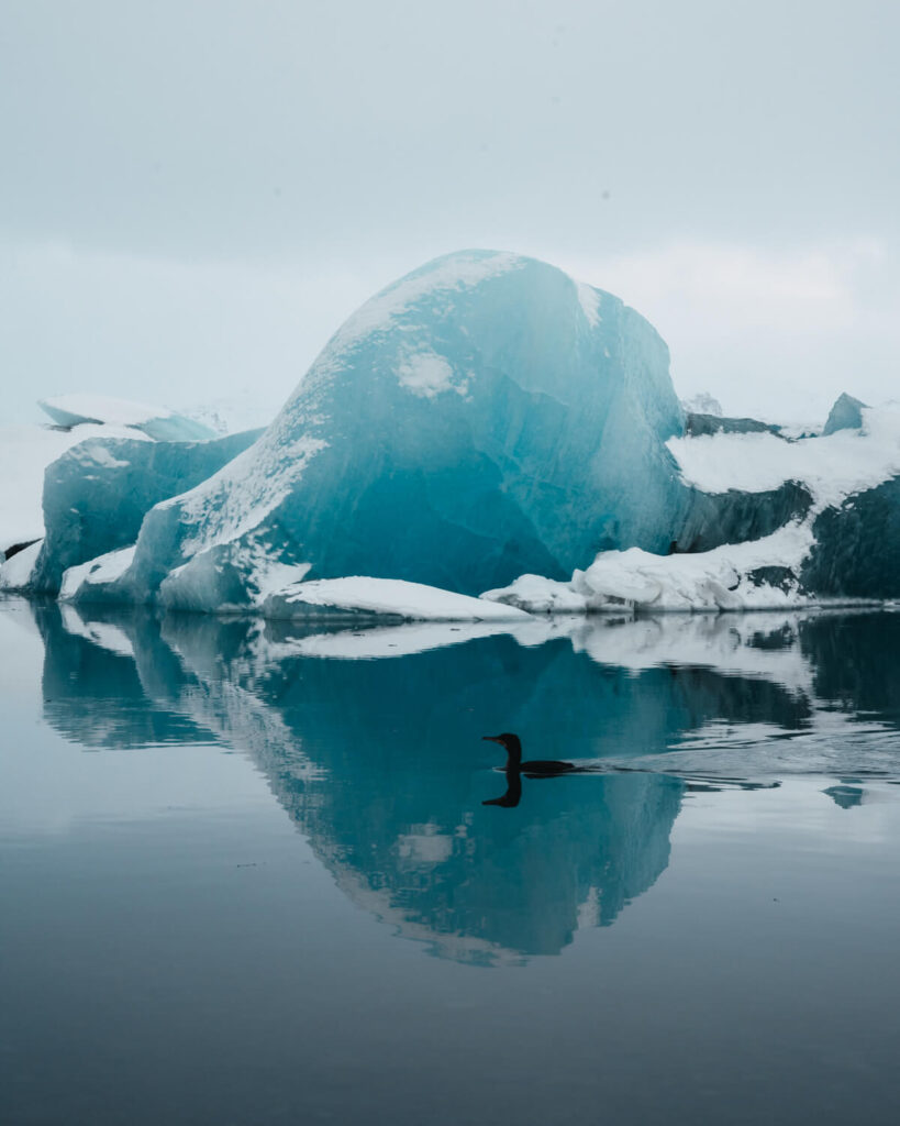 Die Jökulsárlón-Gletscherlagune im Winter