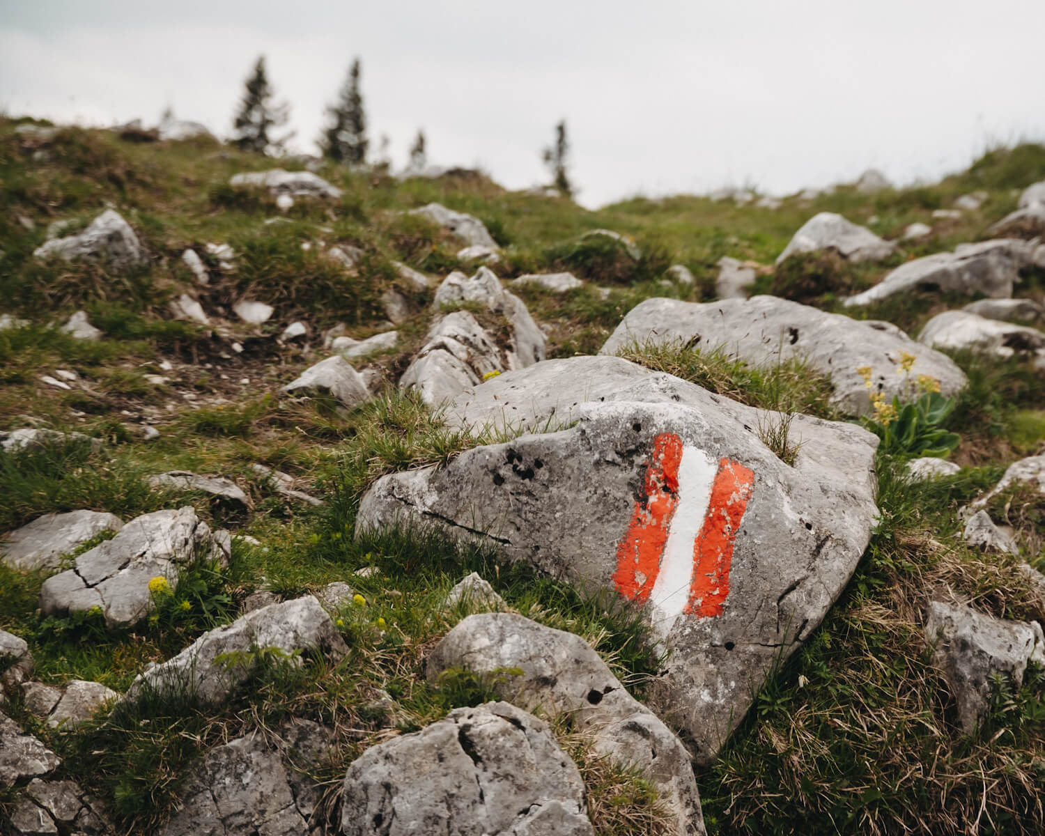 Wandern auf dem Schöckl