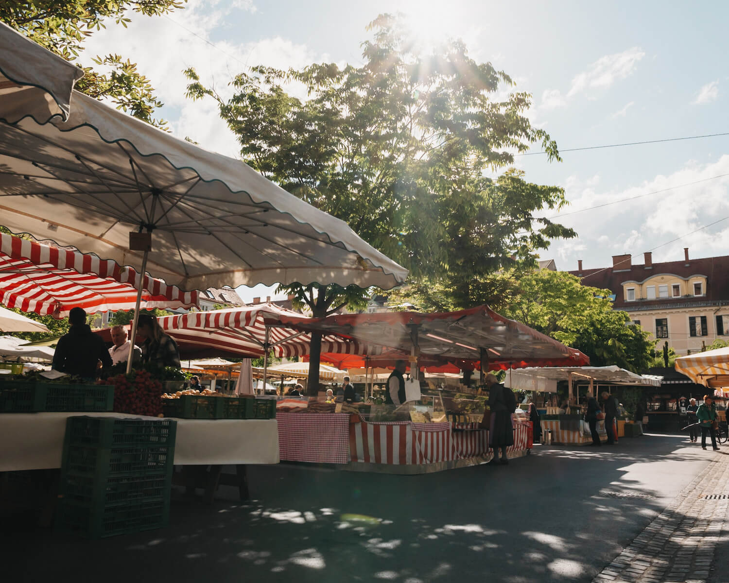 Bauernmarkt auf dem Kaiser-Josef-Platz