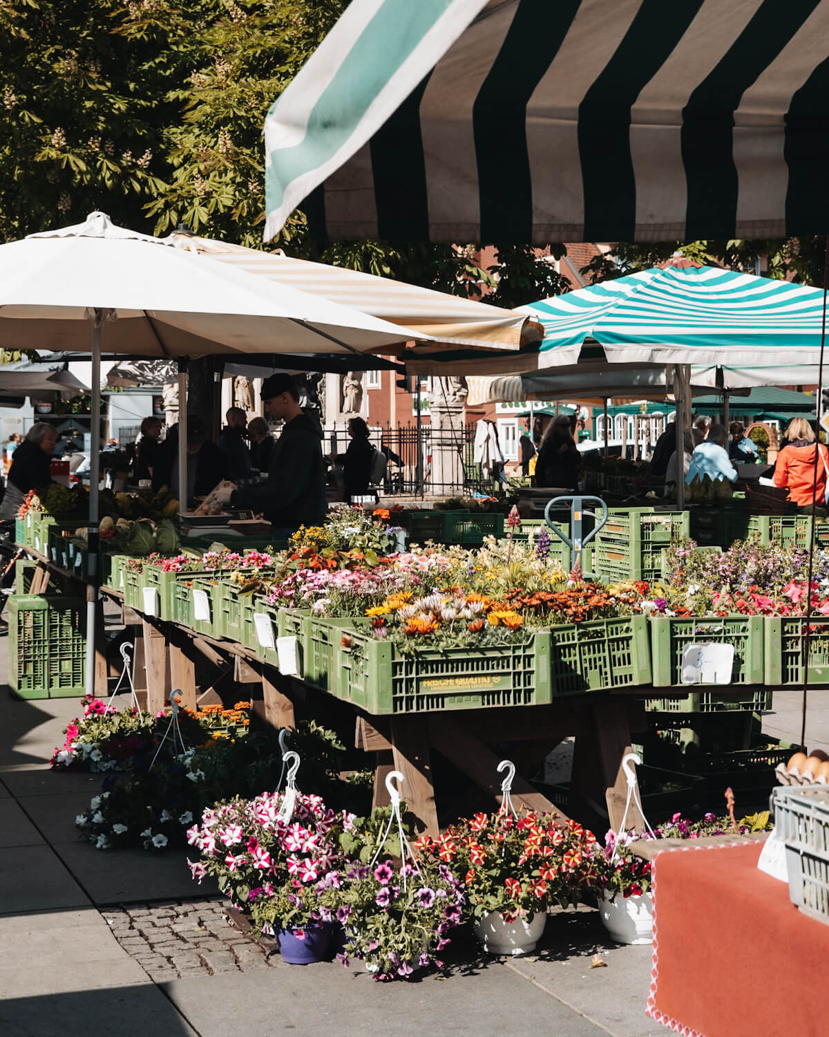 Blumen auf dem Bauernmarkt in Graz