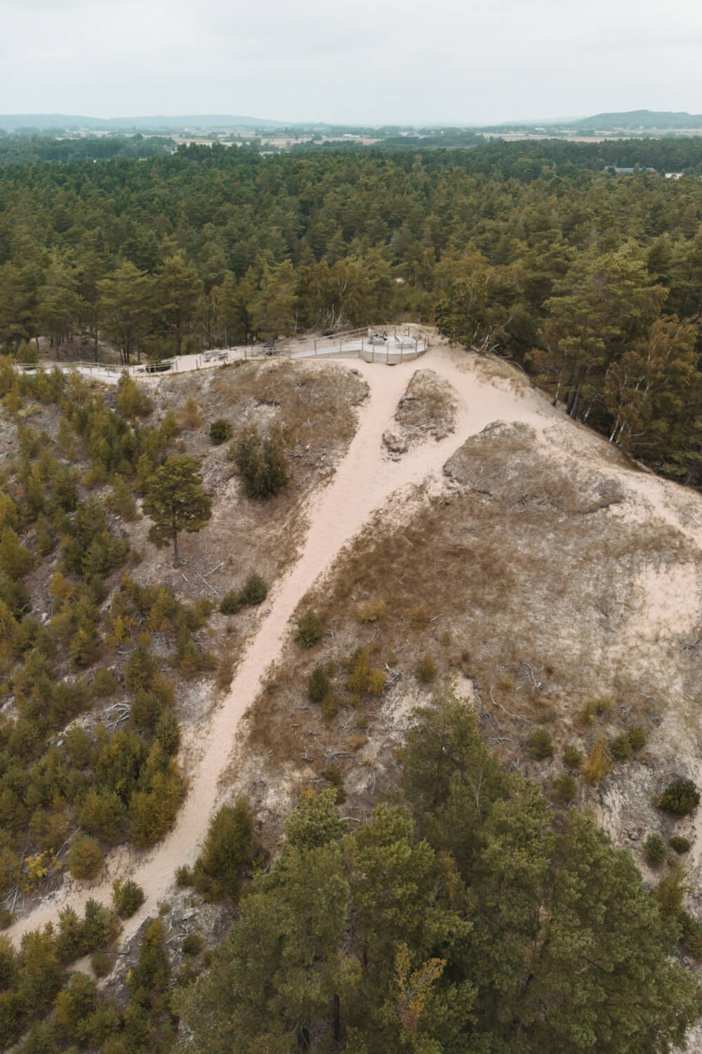 Die Lynga Sanddyn in Halland