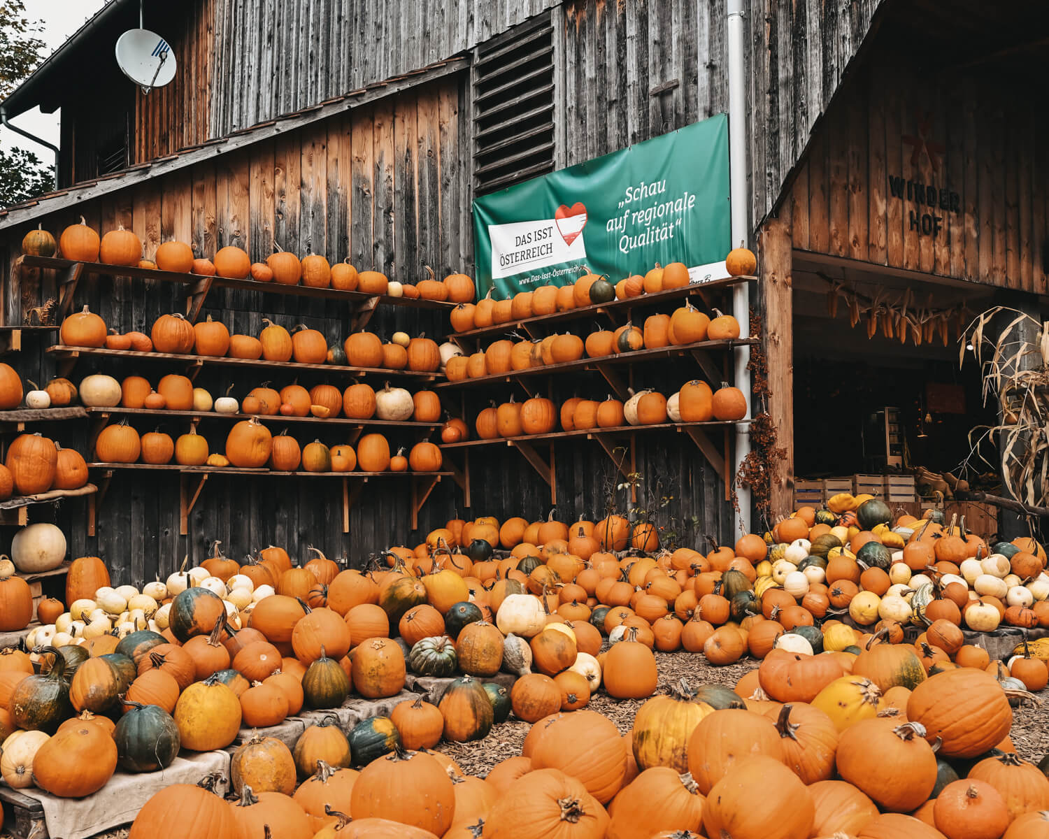 Kürbisausstellung auf dem Winderhof