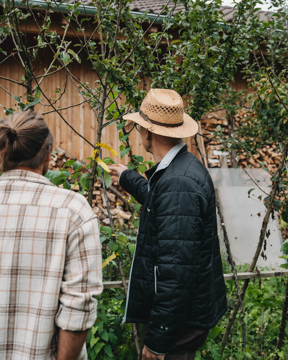 Richard Dietrich bei Dietrichs Kostbarkeiten