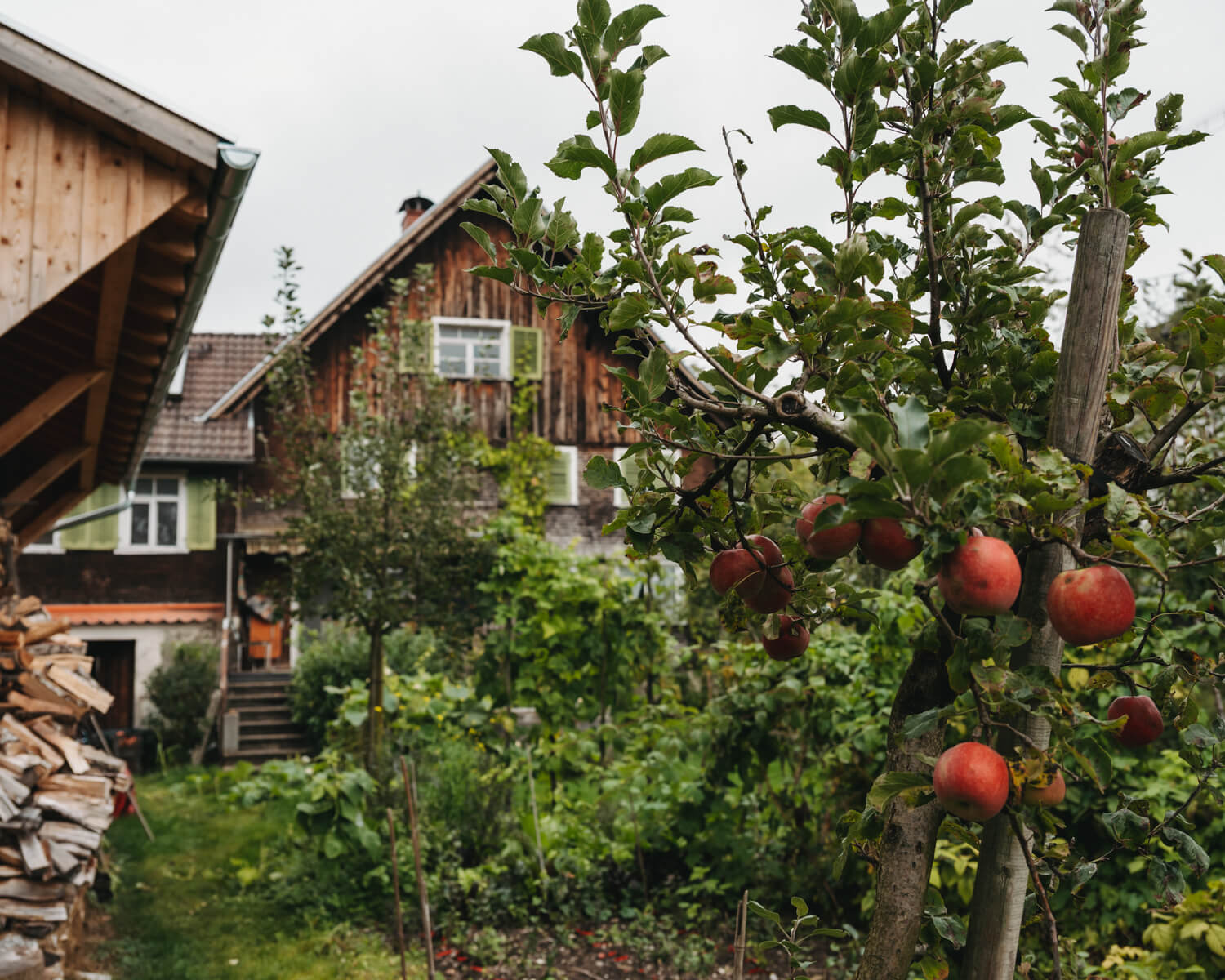 Richard Dietrichs Obstgarten