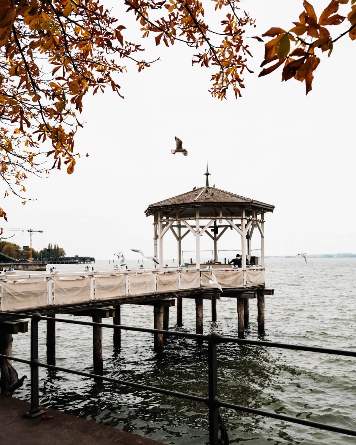 Pavillon am Bodensee in Bregenz