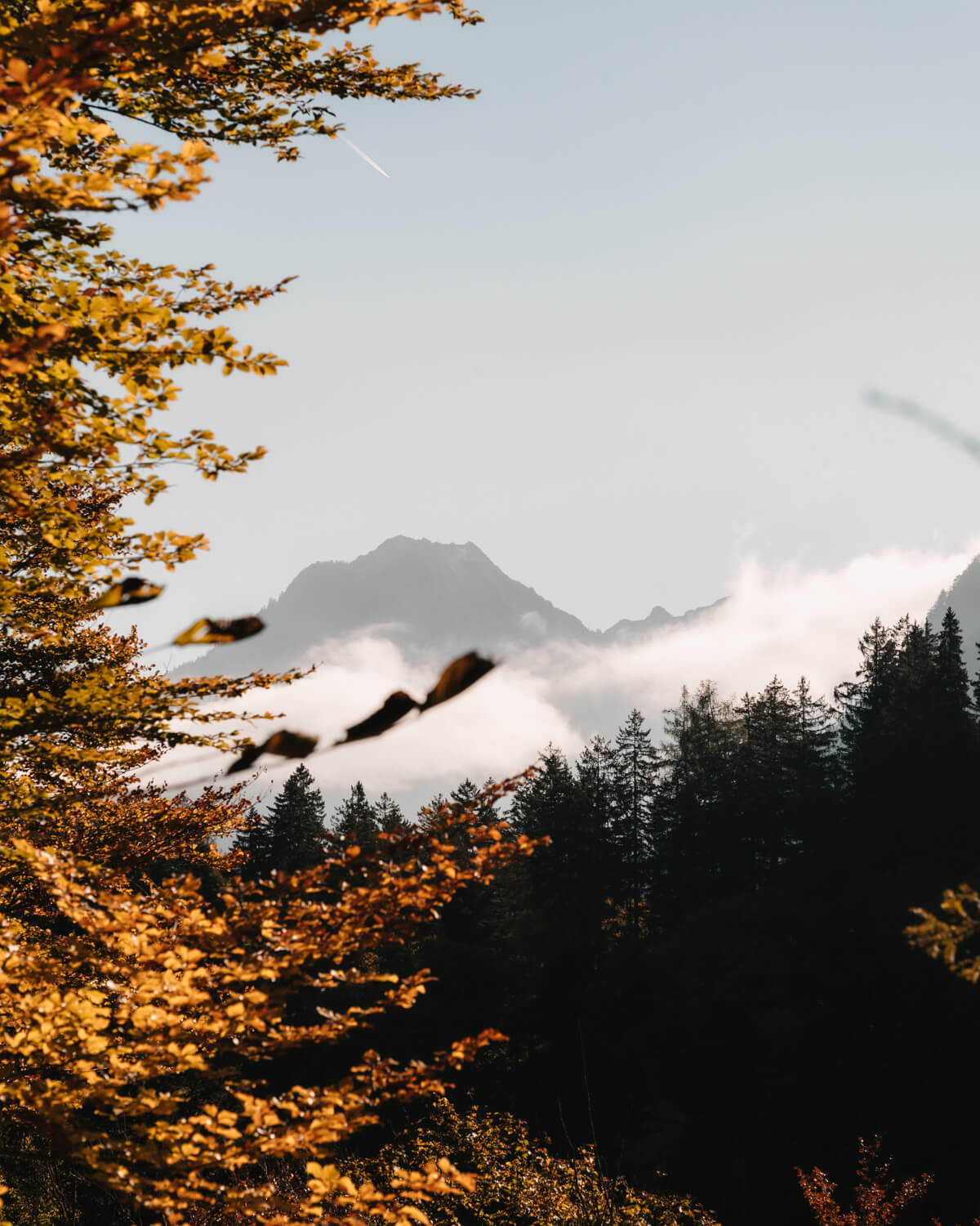 Herbstfarben in der Bürser Schlucht im Brandnertal
