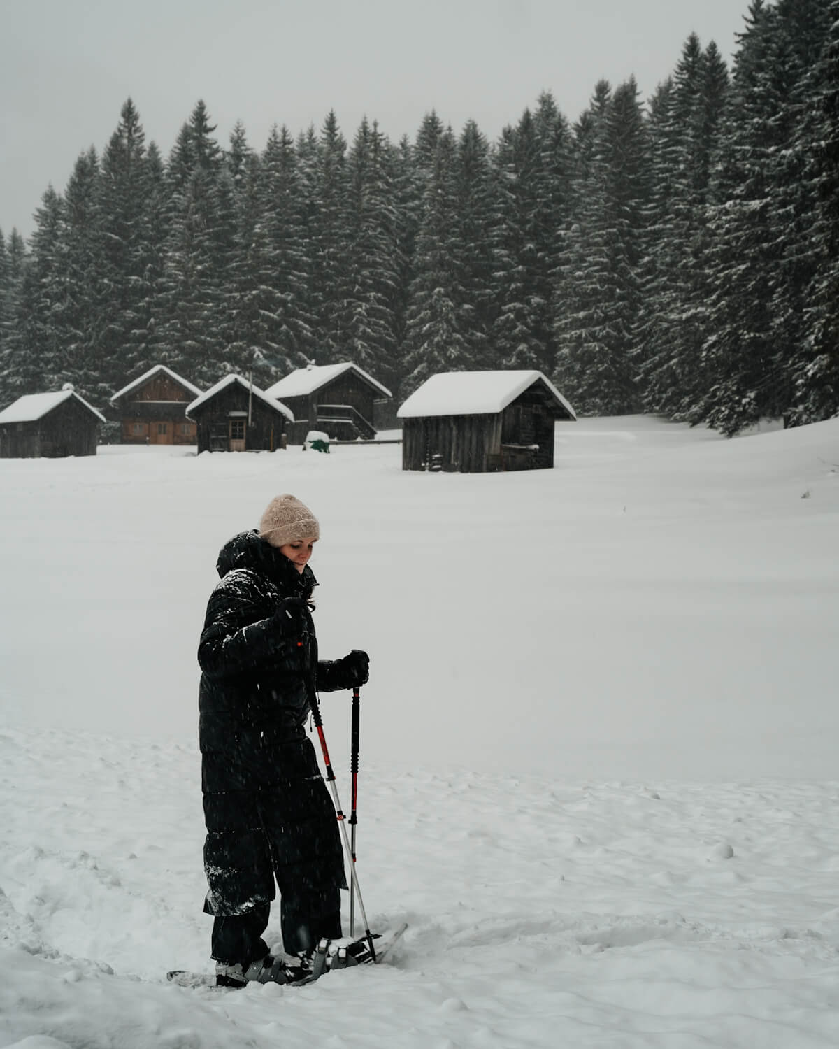 Schneeschuhwandern im Ausseerland