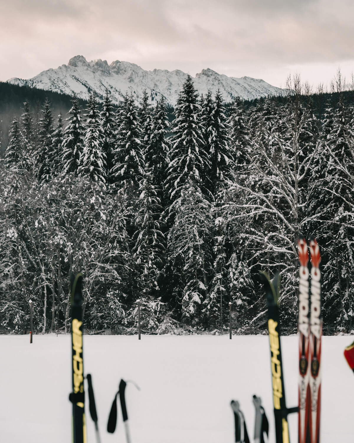 Langlaufen im Ausseerland