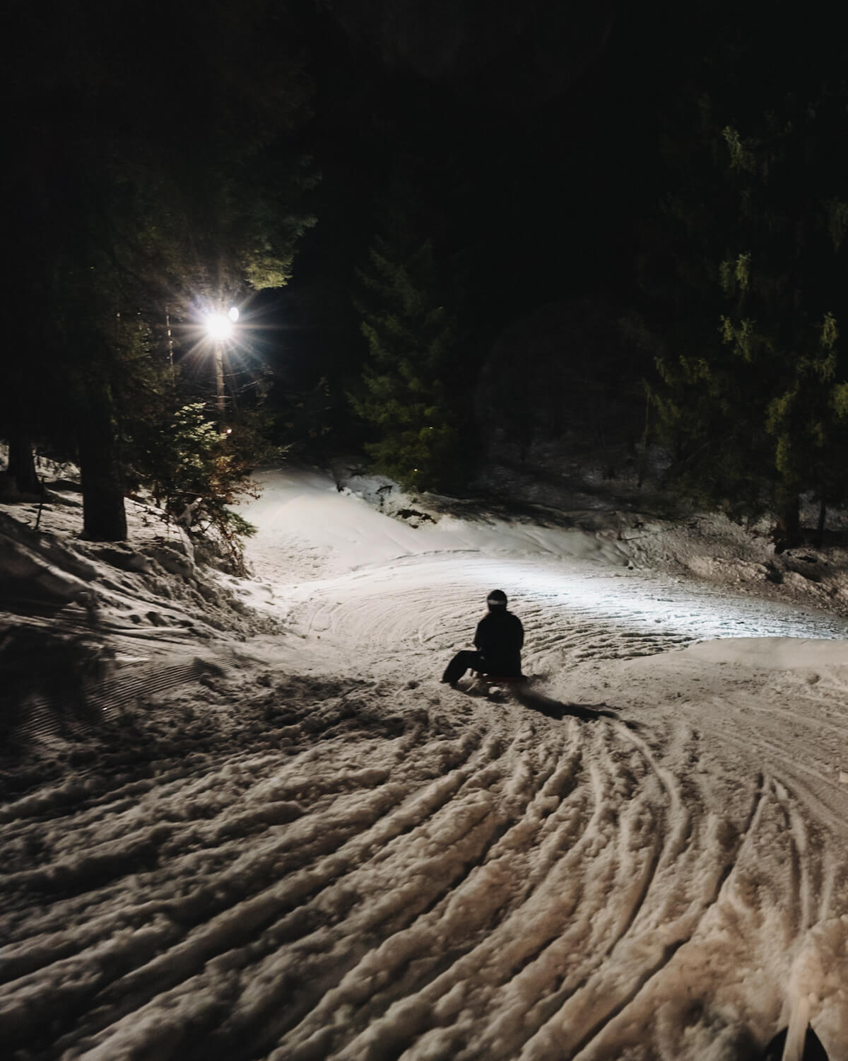 Nachtrodeln auf der Grafenwiese